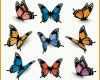 Perfekt Bunte Schmetterlinge Zum Ausdrucken Kostenlos Vorlagen
