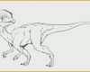 Perfekt Dino Malvorlagen T Rex