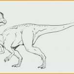 Perfekt Dino Malvorlagen T Rex