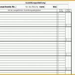 Phänomenal 15 Prüfplan Vorlage Excel