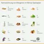 Schockieren Allergenkennzeichnung Gastronomie Vorlage Angenehm