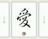Schockieren Chinesische Japanische Schriftzeichen China Japan Schrift