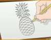 Schockieren Eine Ananas Zeichnen – Wikihow