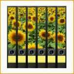 Selten Geschenkwichtel ordner Rückenschilder Sunflower Field