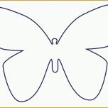 Selten Schmetterling Vorlage 591 Malvorlage Vorlage Ausmalbilder