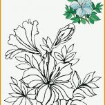 Spezialisiert Blumen Vorlagen 1 Flower Coloring