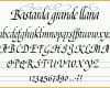Spezialisiert Schrift Einfuehrungm Kalligraphie