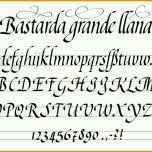 Spezialisiert Schrift Einfuehrungm Kalligraphie
