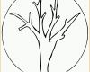 Tolle Baum Ohne Blaetter Ausmalbild &amp; Malvorlage Ics