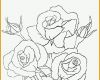 Tolle Blumen Vorlagen 3 Window Color Bilder