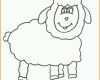 Ungewöhnlich Ausmalbilder Schaf Tiere Zum Ausmalen Malvorlagen Schafe