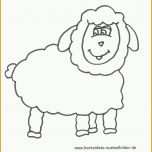 Ungewöhnlich Ausmalbilder Schaf Tiere Zum Ausmalen Malvorlagen Schafe