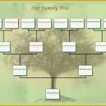 Ungewöhnlich Family Tree Chart Template Example