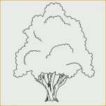 Unvergesslich Malvorlage Baum Vier Jahreszeiten