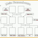Unvergleichlich Family Tree Template by Vickyjk Teaching Resources Tes