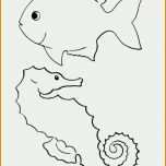 Unvergleichlich Fische Zeichnen Vorlagen Papacfo