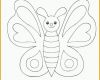 Unvergleichlich Schmetterling Malvorlagen Malvorlagen1001