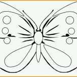 Wunderbar Schmetterling Vorlage Zum Ausdrucken Frisch 74 Einzigartig