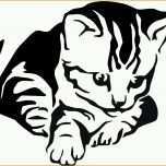 Wunderschönen Schablone Google Suche Katzen Pinterest