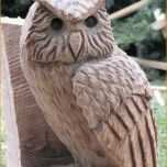 Wunderschönen Schnitzen Motorsage Vorlagen Eagle Bench Chainsaw Carving